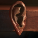 Illustration for article titled Why Diablo IV Is So Obsessed With Ears